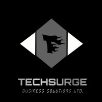 TechSurge Business Solutions logo - Similar company to Telephonic Pros