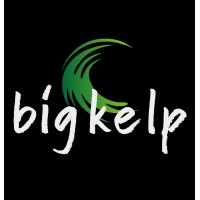 Big Kelp logo - Similar company to Doc Social