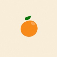 Candid Orange logo - Similar company to E.J.'S Kid'S Foundation