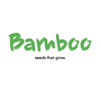 Bamboo Solutions GmbH logo - Similar company to 10Drei E.V.