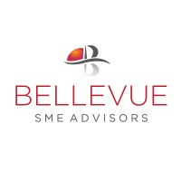 Bellevue SME Advisors GmbH - Piloting companies through rocky waters logo - Similar company to Cycle Serbia