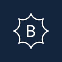 Bogers Security Consulting logo - Similar company to Salto Identity Solutions