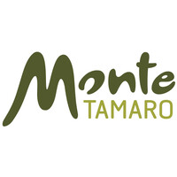 Monte Tamaro SA logo - Similar company to Splash E Spa Tamaro