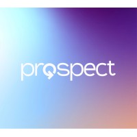 Prospect Uitzendbureau B.V. logo - Similar company to Cs Scaffolding Ltd