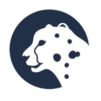 Cheetah Transformation logo - Similar company to Looker Lab