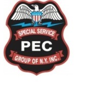 Pec Group Of Ny Inc