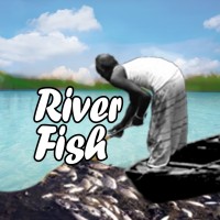 River Fish logo - Similar company to Ask Wise Digital Agency
