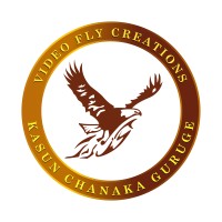 VideoFly Creations logo - Similar company to Etecnovos