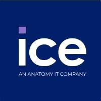 ICE Technologies, An Anatomy IT Company logo - Similar company to Ice Tech