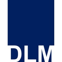 DLM COMERCIAL SPA
