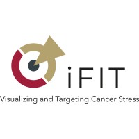 iFIT - Cluster of Excellence logo - Similar company to Mentor Program Eu