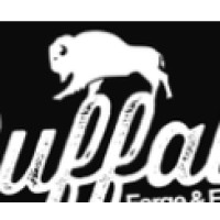 Buffalo Forge & Foundry logo - Similar company to Midwest Precision Castings