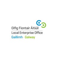 Local Enterprise Office Galway logo - Similar company to Creative Business Network