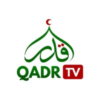 QADR TV logo - Similar company to Systech Unimax Ltd.