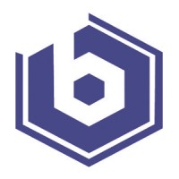 Binary Bunon logo - Similar company to Next Level Media