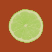 Spicy Lime Marketing logo - Similar company to Gullak