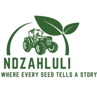 Ndzahluli logo - Similar company to Learning It Today
