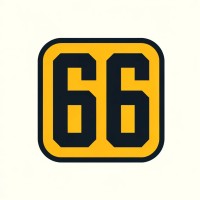 66 logo - Similar company to Fischer Imaging