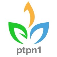 PT Perkebunan Nusantara I Regional 8 logo - Similar company to Pt. Kalla Electrical System