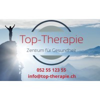 Top-Therapie logo - Similar company to Medimpuls Physiotherapie