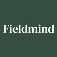 Fieldmind logo - Similar company to Capsys Sas