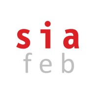 FEB SIA logo - Similar company to Conit Solutions S.R.L.