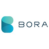 Bora Growth Partners logo - Similar company to Picortex