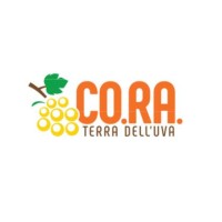 Gruppo Co.ra. logo - Similar company to Co. Ra. S.R.L.