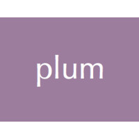 Plum Social Media logo - Similar company to Plum Social