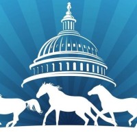 Herd on the Hill