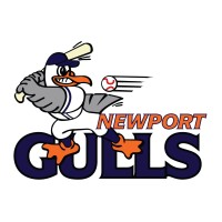 Newport Gulls Baseball logo - Similar company to Khph Staffing Solutions