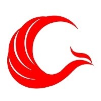 Phoenix Aerospace Components, Inc. logo - Similar company to Direct Luxury Solutions