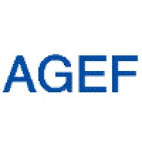 A.G.E.F. Srl