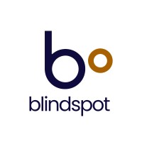 Blindspot Innovation logo - Similar company to Global Changelabs