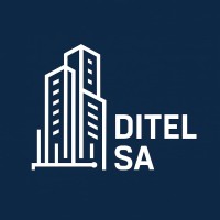 Ditel sa logo - Similar company to One Store