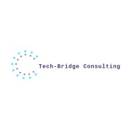 TechBridge Consulting logo - Similar company to Techbridge Consulting