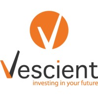 Vescient logo - Similar company to Techd Group