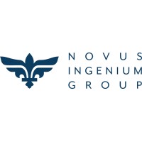 Novus Ingenium Group logo - Similar company to Gene Companion