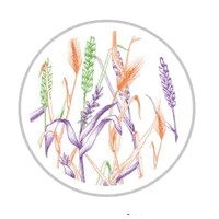 Les Bouilles Heureuses logo - Similar company to Julien Boidot