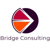 Bridge Consulting Baku logo - Similar company to Expert Sm International Law & Consulting