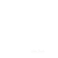 Nadun Shanuka Photography logo - Similar company to Innovative Media Public Relations (Pvt) Ltd