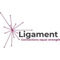 Ligament NZ logo - Similar company to Focused Physiotherapy