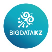 Big Data KZ logo - Similar company to Alonzi