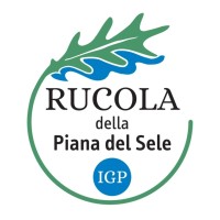 Consorzio Rucola Piana del Sele IGP logo - Similar company to Op Terramore