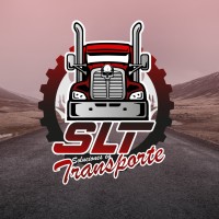 DSL TERRESTRE SA DE CV logo - Similar company to Phortia