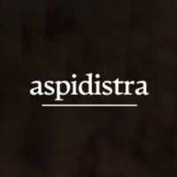 Aspidistra logo - Similar company to Advanced Web Digital Solution