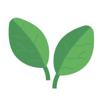 Spinach logo - Similar company to Lock Finance Ltd