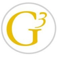 Go3 Partners Executive Search logo - Similar company to Executive Search Partners, Llc