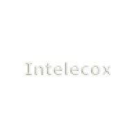Intelecox logo - Similar company to Resource Soft Llc