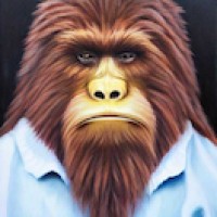 The Sasquatch Collective
